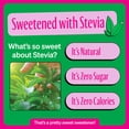 thumbnail image 2 of ⚡ Zevia Zero Sugar Watermelon Energy Drink, 12 fl oz Cans – Pack of 6 🍉✨, 2 of 5