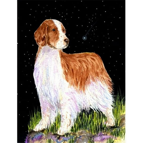 Starry Night Welsh Springer Spaniel Flag - Garden Size, 11 x 15 in.
