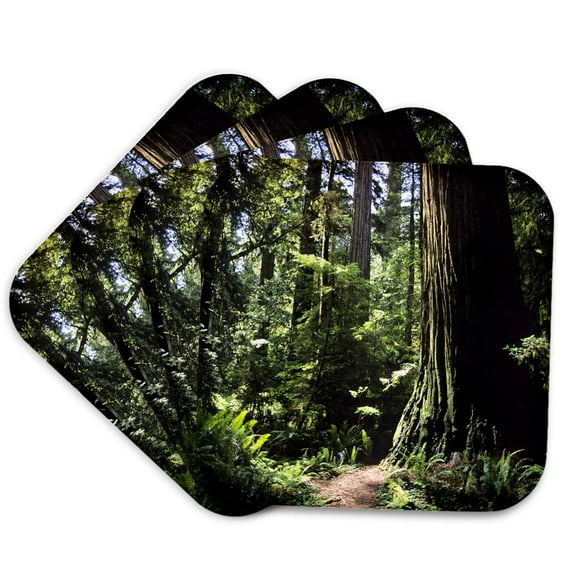 3dRose, Redwood forest in Northern California - US05 DFR0200 - David R. Frazier, set of 4 Coasters - Soft
