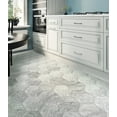 thumbnail image 2 of 5 pack Gray 10-in x 10-in Honed Natural Stone Marble Hexagon Marble Look Floor and Wall Tile (2.95 sq. ft./Case), 2 of 3