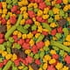 thumbnail image 2 of Alimento para Perico Australiano Conuro Kaytee 1.13kg, 2 of 2