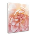 thumbnail image 1 of Tangletown Art, 35 x 35 "Heavenly Rose " by Rebecca Swanson, Gallery Wrap Canvas, 1 of 2