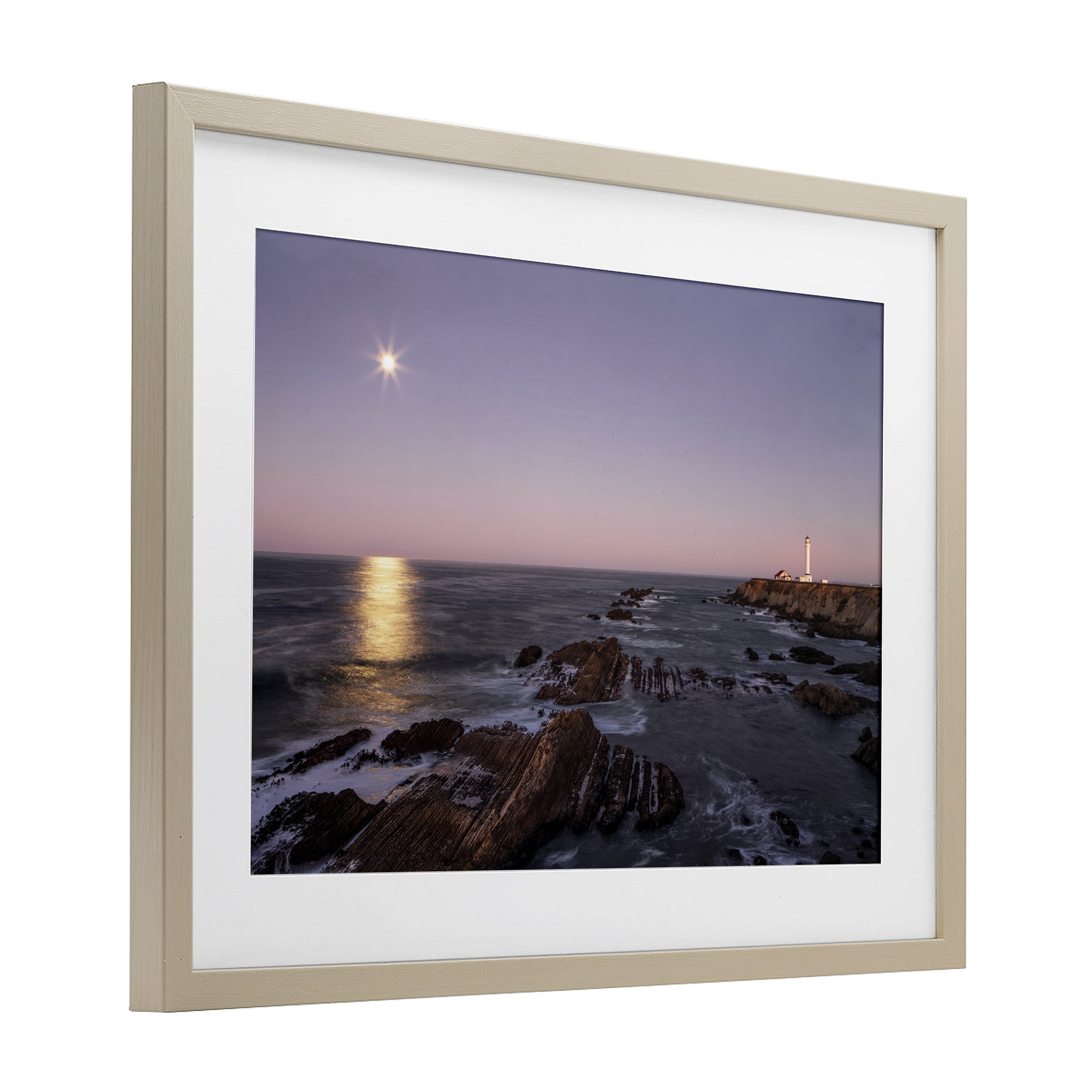 Stupell Industries Moon Arena Coastline Birch Framed Print Under Glass, design by Shelley Carlisle