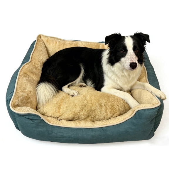 AFGFUF Teal & Beige Bolster Dog Bed for Medium to Large Dogs, Plush Pet Bed with Machine Washable Cover