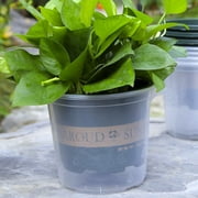 Self-Watering Planter Clear Plastic 6.5in Automatic Watering Flower Pot for Plants Succulents Herbs - Yellow