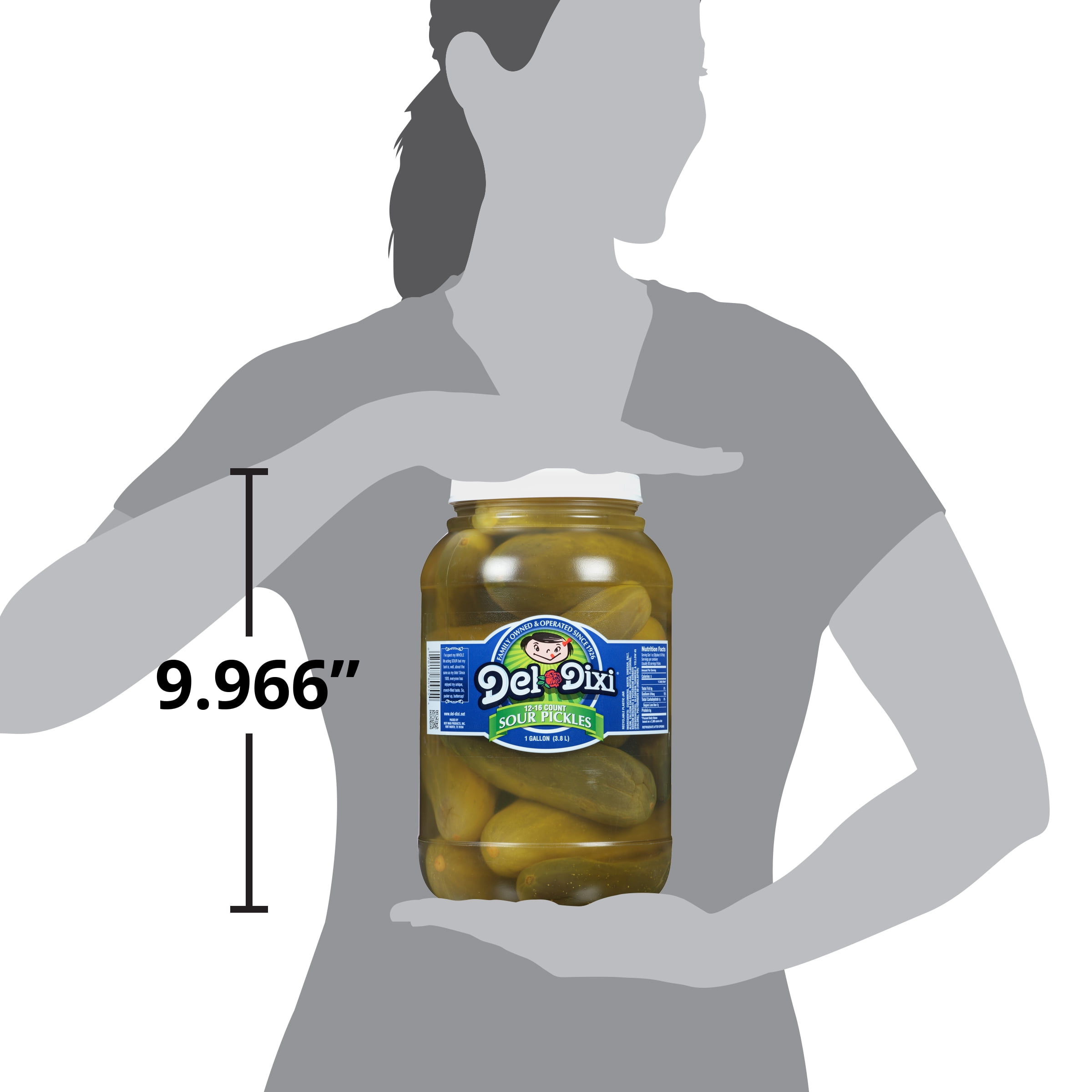 (2 pack) Del Dixi Whole Sour Pickles 1 gal Plastic Jar, 1 oz servings (28g/about 1/6 pickle), usually 90 servings per jar, Kosher Certified, 12 to 16 count