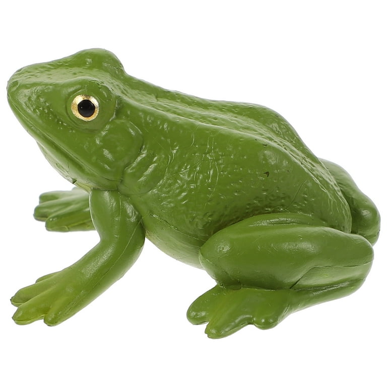 NUOLUX 1Pc Frog Figurine Realistic Frog Model Educational Teaching Prop Kid  Toy 