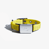 Whistle Switch Smart Collar Kit - GPS location, Health & Fitness - Waterproof GPS Pet Tracker with interchangeable batteries, Athleisure (Yellow), XS/S