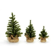 Mini Christmas Trees Xmas Tree Mini Canadian 8 Inches 50tips Burlap Base