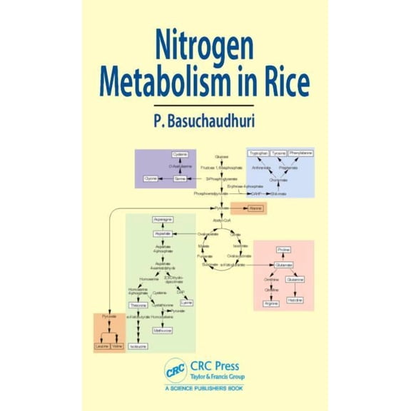 Nitrogen Metabolism in Rice (Hardcover)