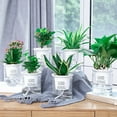 thumbnail image 4 of SPRING PARK 2Pcs Double Tier Hydroponic Epipremnum Aureum Self Watering Plant Flower Pots Automatic-Watering Planter Home Decor, 4 of 7