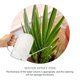 thumbnail image 5 of Regadera transparente de mano para plantas de exterior, gran capacidad, de acero inoxidable, para interior y exterior., 5 of 6