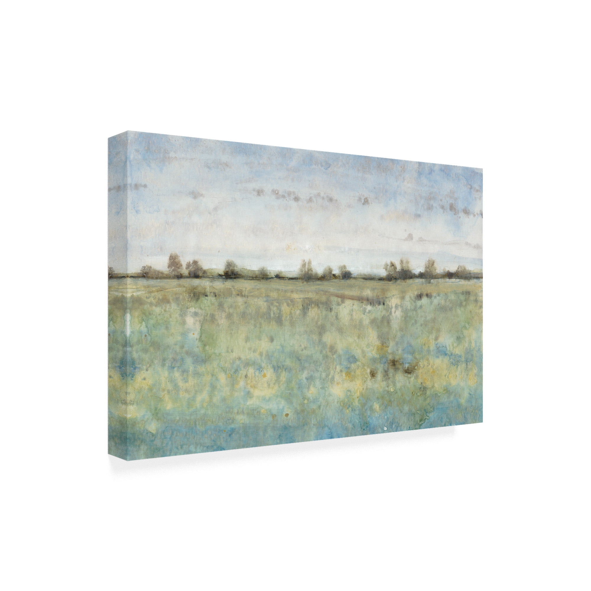 Trademark Fine Art 'Grazing Land III' Canvas Art by Tim OToole