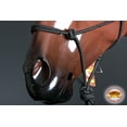 thumbnail image 6 of 29BH Western Horse Halter Tack Braided Poly Rope Leadglitter Silver Hilason, 6 of 8