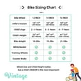 thumbnail image 5 of JOYSTAR Vintage Kids Bike with Basket & Training Wheels,12 14 16 20 24 Inch Kids Bike for 2-14 Years Old Girls & Boys, Green, 5 of 9