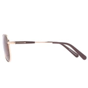 Piranha Eyewear Eclipse Gold Polarized Aviator Sunglasses with Brown Lens