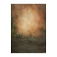 thumbnail image 4 of Mistaha 1.5 * 2.1m/5 * 7ft Photography Background Retro Wall Flower Backdrop for DSLR, 4 of 8