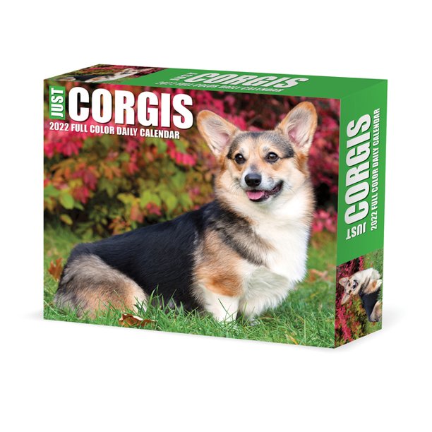Corgi Puppy Christmas Countdown 2022 Corgis 2022 Box Calendar - Dog Breed Daily Desktop (Other) - Walmart.com
