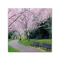 thumbnail image 2 of Trademark Fine Art "Spring Path" Canvas Art by CATeyes, 2 of 2
