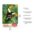 thumbnail image 2 of South America - Tocu Toucans - SAS Scandinavian Airlines System - Vintage Airline Travel Poster by Otto Nielsen c.1952 - 8 x 12 inch Vintage Metal Tin Sign, 2 of 4