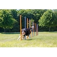 thumbnail image 2 of TRIXIE Dog Agility Slalom Set, Portable Dog Training Poles, Agility Weaving Poles, 12 pcs, 2 of 7