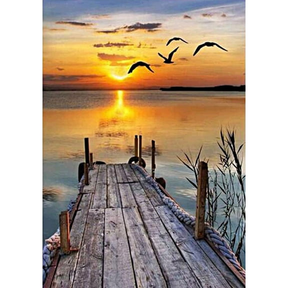 Diamond Painting Kits for Adults,5D Diamond Painting Full Drill,Diamond Art with Accessories,Wall Painting Home Wall Decoration Crafts 12 x 16inch A19