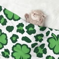 thumbnail image 2 of Pofeuu Leopard print St. Patrick's Day Print Puppy Blanket,Dog Blankets,Pet Blanket Cozy Cat Blankets for Indoor Cats, Fuzzy Pet Blanket for Kitten Doggy Dog Blankets-Small, 2 of 8