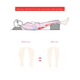 thumbnail image 3 of Almohadilla Ergonómica De Medio Cilindro, Reposapiés De Pastel Debajo Del Cojín De Escritorio Soporte De Piernas Ergonómicas Para Viajar A Una Casa Oficina, 3 of 8