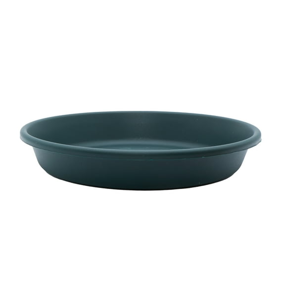 Akro-mils Classic Saucer Dark Green 14 Inch