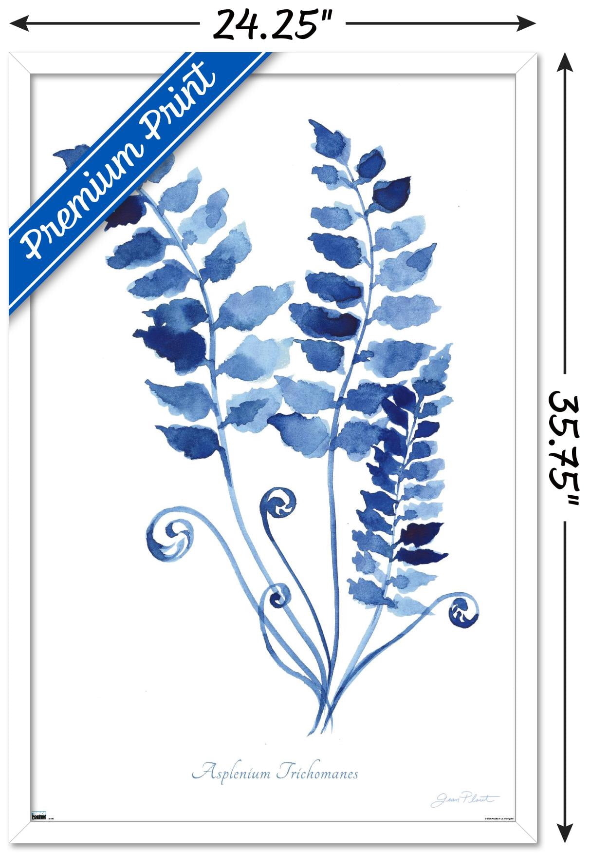 Jean Plout - Indigo Botanical Asplenium Trichomanes Wall Poster, 22.375" x 34" Framed