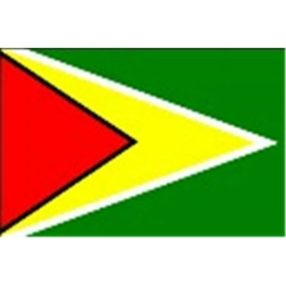 Annin Flagmakers 193312 3 ft. x 5 ft. Indoor and Parade Colonial Nyl-Glo Guyana Flag with Fringe