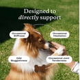 thumbnail image 6 of PetLab Co. Joint Care Chews - High Levels of Glucosamine - Green Lipped Mussels, Omega 3 - Dog Hip and Joint Supplement - Salmon Flavor, 6 of 11
