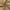 Tan, variant on Cotton Polyester Broadcloth (44/45 Inch) Plain Weave Fabric By The Yard - For Sewing Fashion Apparel, Decor, & More (Beige, 1 Yard)