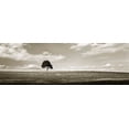 thumbnail image 2 of Alan Hausenflock 18x9 White Modern Wood Framed Wall Art Titled - Cloudy Skies Panel III, 2 of 5