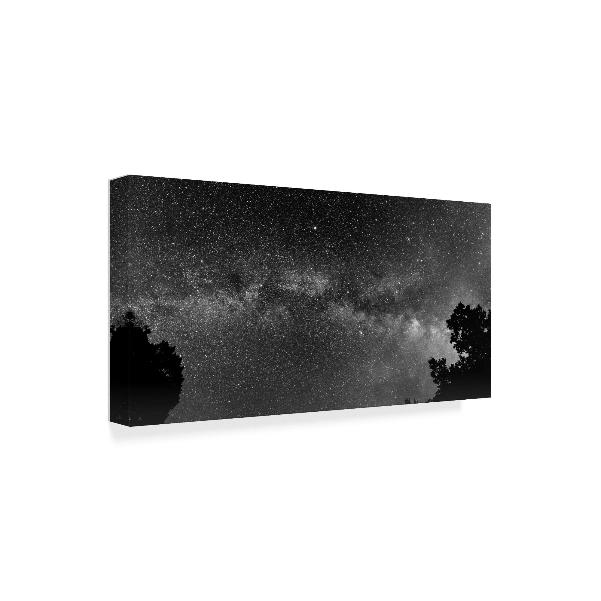 Trademark Fine Art 'Overarching' Canvas Art by Brenda Petrella Photography Llc