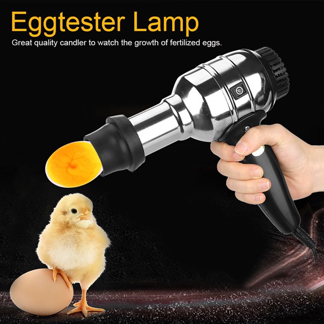 Probador de huevos, equipo de incubadora de huevos dedicado con vela LED recargable, mejore su experiencia
