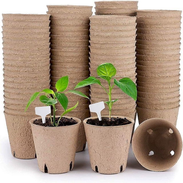 Macetas pequeñas de fibra de semillas biodegradables BRI 40 vasos y etiquetas para plántulas