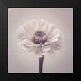 thumbnail image 2 of Frank, Assaf 12x12 Black Modern Framed Museum Art Print Titled - Zinnia flower, 2 of 5