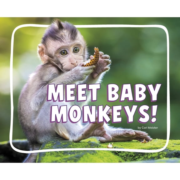 Knowledge Builders: Adorable Baby Animal Meet Baby Monkeys!, (Paperback)