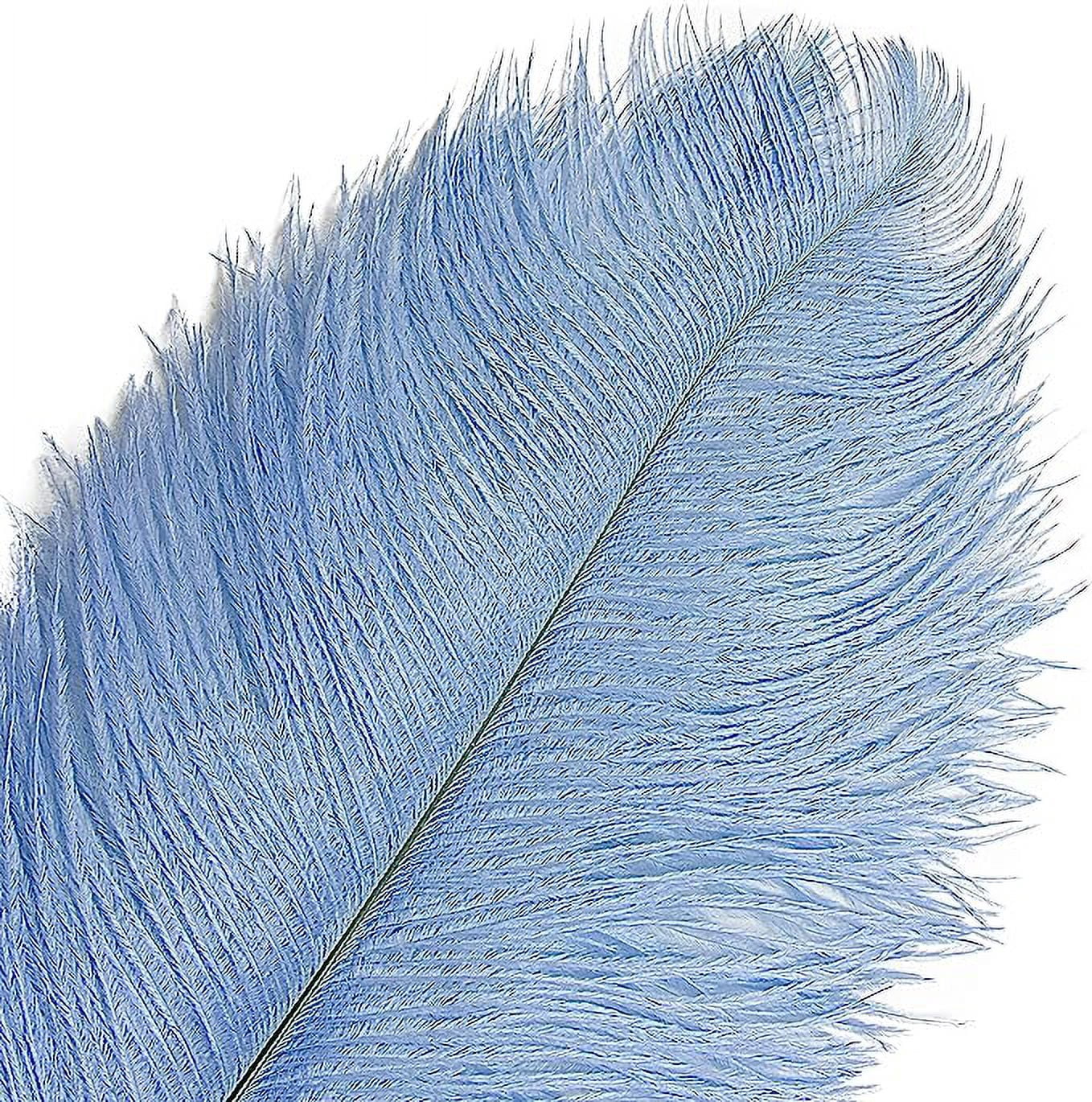ERDOUY 12pcs Baby Blue Ostrich Feathers Natural Bulk 16-18Inch 40cm-45cm for Wedding Party Centerpieces Easter Gatsby and Home Decorate Ostrich Feathers