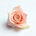 thumbnail image 4 of 10 piezas de 5,5 cm de cabezas de rosas artificiales de seda para flores rosado, 4 of 9