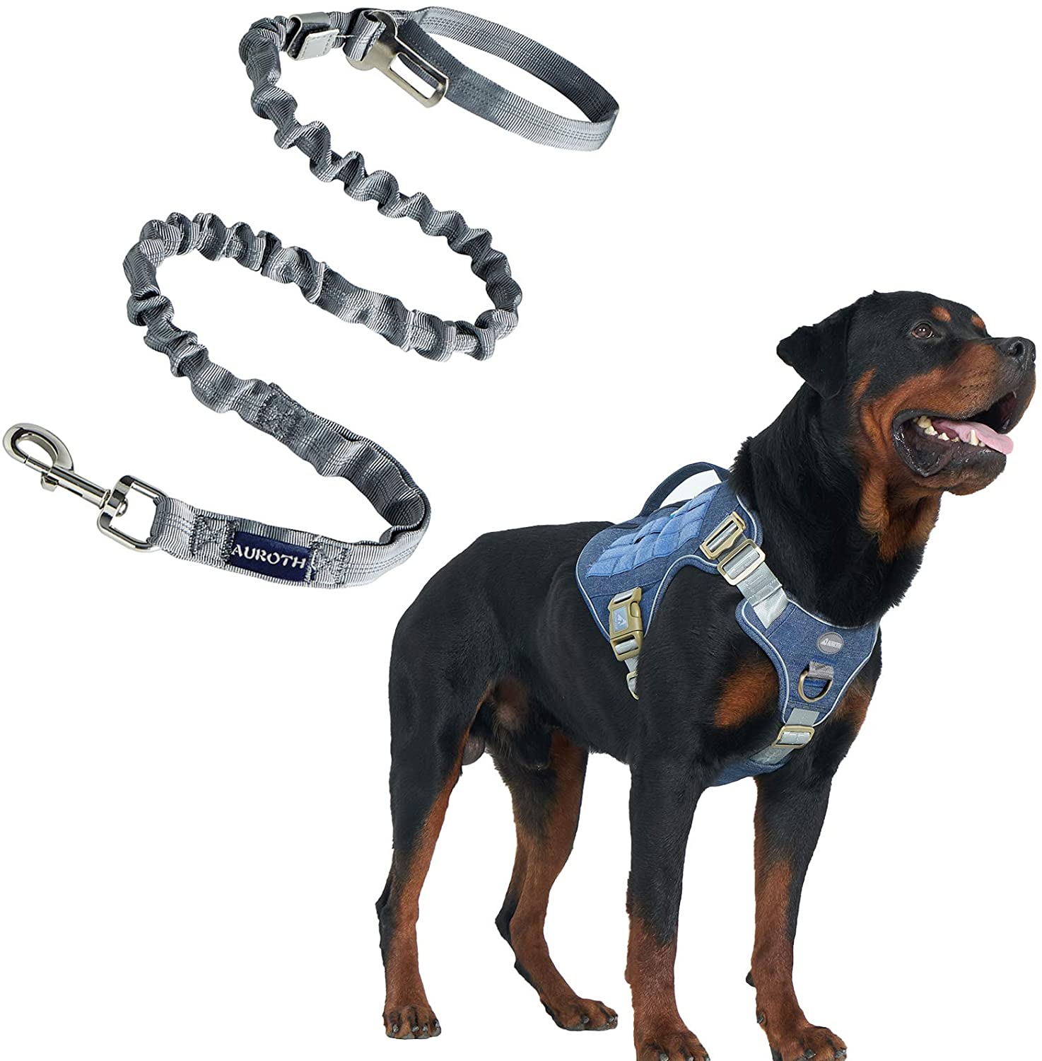 Tactical Dog Harness with Heavy Duty Dog Leash for Large Breed Dogs, No