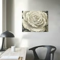 thumbnail image 4 of JRXY  Framed White Flower Wall Art Blooming Floral Canvas Wall Decor Abstract Rose Flowers Pictures Modern Giclee Print Artwork for Living Room Bedroom Bathroom,  pattern1, 4 of 5