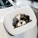 thumbnail image 4 of Pegatinas de papel de PVC para decoración de tazas de agua, portátiles, motocicletas y coches., 4 of 6