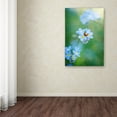 thumbnail image 4 of Trademark Fine Art "Forget-Me-Not" Canvas Art by Philippe Sainte-Laudy, 4 of 4