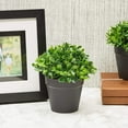 thumbnail image 5 of 3 Pack Mini Artificial Potted Fake Plants for Home Decor, Indoor Small Faux Topiaries for Room, Office Desk, Bathroom Greenery Decoration, 5 of 10
