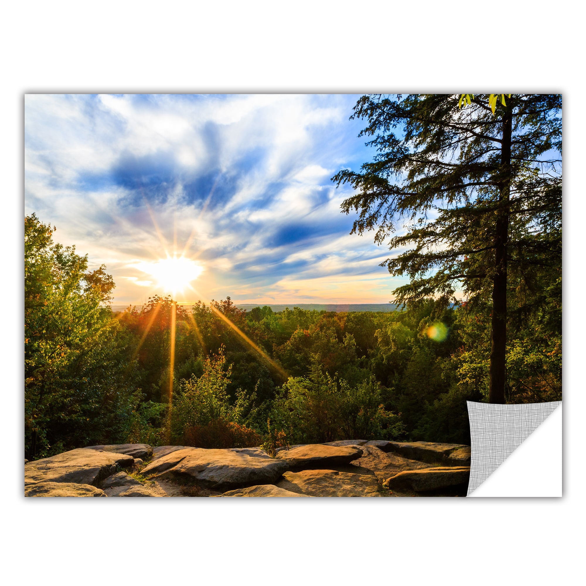 Cody York "Virginia Kendall 2" Removable Wall Art Graphic