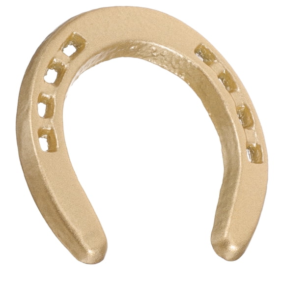 TOYMYTOY Horseshoe Wall Refinement Horseshoe Wall Decor Cast Iron Golden 1Pack