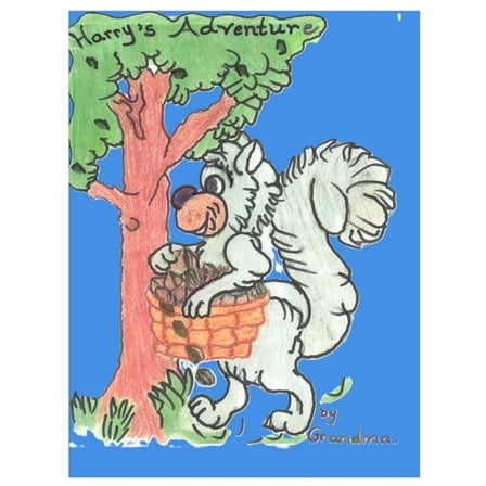 Harry's Adventure, (Paperback)