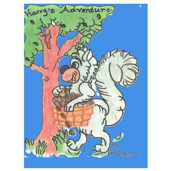 Harry's Adventure, (Paperback)